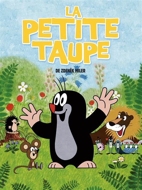 Nouvelles Aventures de la Petite taupe (2008) film online,Sorry I can't clarify this movie actors